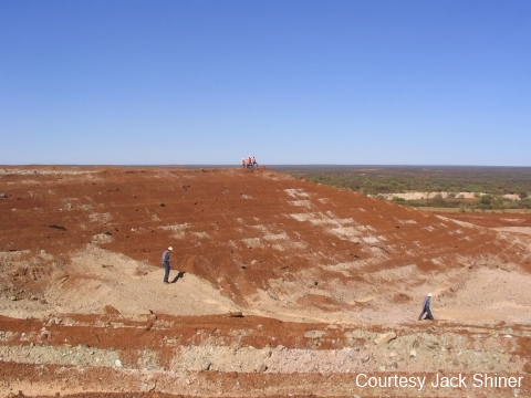 Site Revegetation